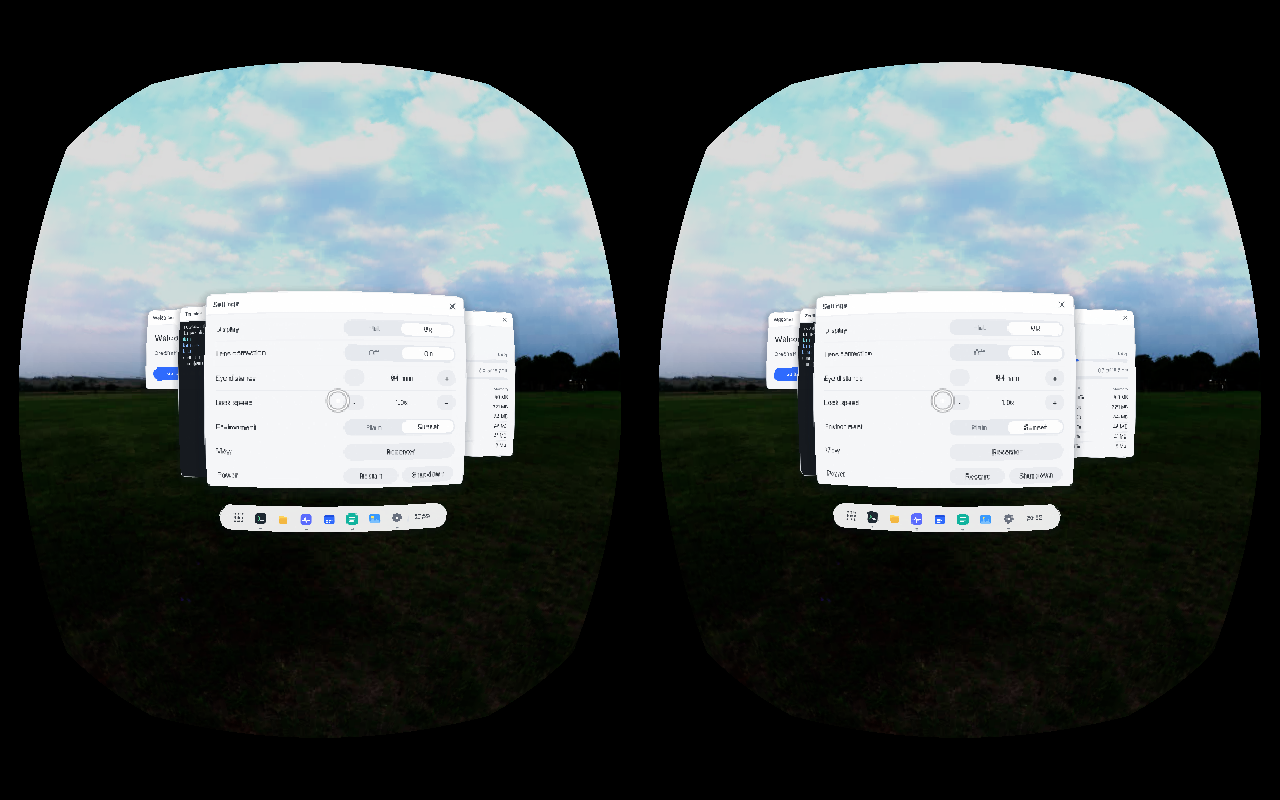 What the headset shows, one image per eye.